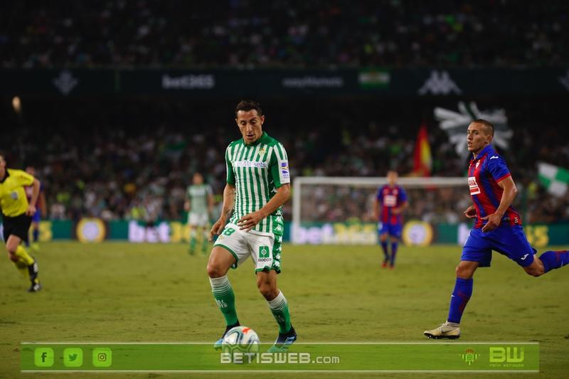 Haga clic en la imagen para ver una versin ms grande

Nombre:	J8 - Betis - Eibar 13.jpg
Visitas:	1
Size:	44,9 KB
ID:	7254687