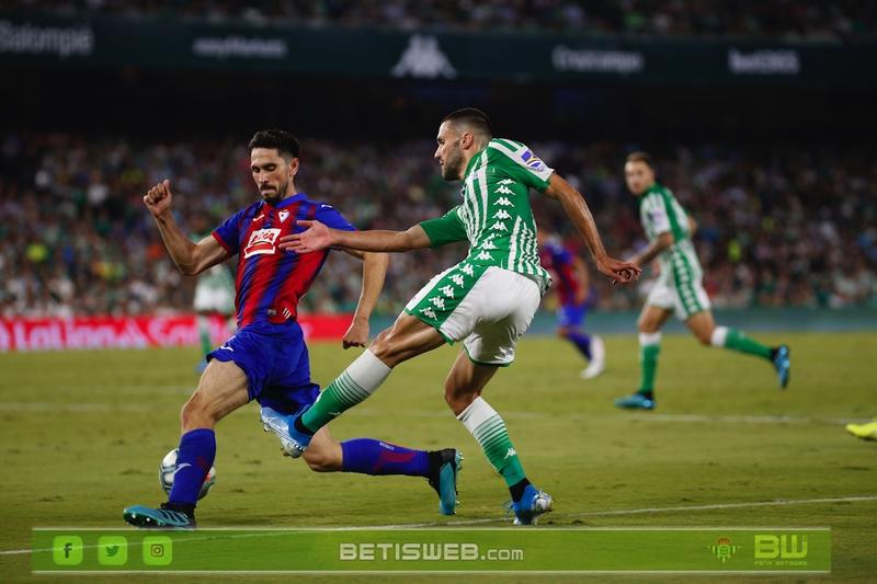 Haga clic en la imagen para ver una versin ms grande

Nombre:	J8 - Betis - Eibar 14.jpg
Visitas:	1
Size:	51,8 KB
ID:	7254688