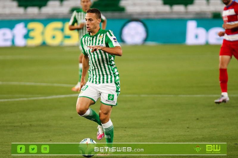 Haga clic en la imagen para ver una versin ms grande

Nombre:	J29 - Real Betis - Granada CF0.jpg
Visitas:	1
Size:	49,9 KB
ID:	7370024