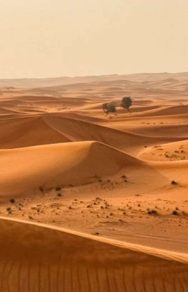 Haga clic en la imagen para ver una versin ms grande

Nombre:	desierto-del-sahara-dunas.jpg
Visitas:	1
Size:	40,0 KB
ID:	8215438