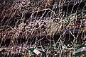 Haga clic en la imagen para ver una versin ms grande

Nombre:	betis-eibarrr 2000-2001.jpg
Visitas:	2
Size:	53,9 KB
ID:	6436432