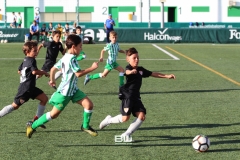 Benjamin C - Betis - Sevilla 113