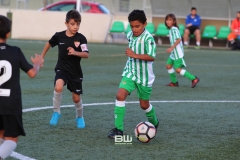 Benjamin C - Betis - Sevilla 232