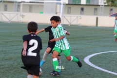 Benjamin C - Betis - Sevilla 233