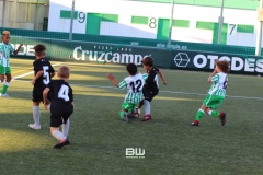 Benjamin C - Betis - Sevilla 240