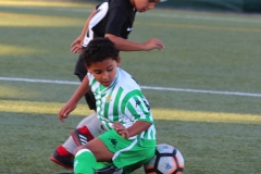 Benjamin C - Betis - Sevilla 241