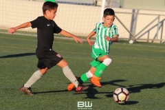 Benjamin C - Betis - Sevilla 244