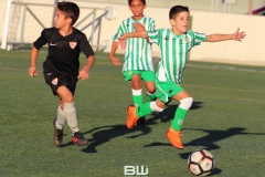 Benjamin C - Betis - Sevilla 245