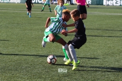 Benjamin C - Betis - Sevilla 56