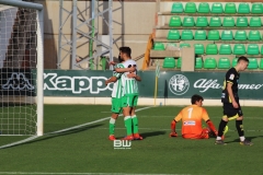 J33 Betis DH - Granada  238