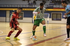 J17 Betis futsal - El Pozo 77