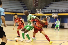 aJ17 Betis futsal - El Pozo 96