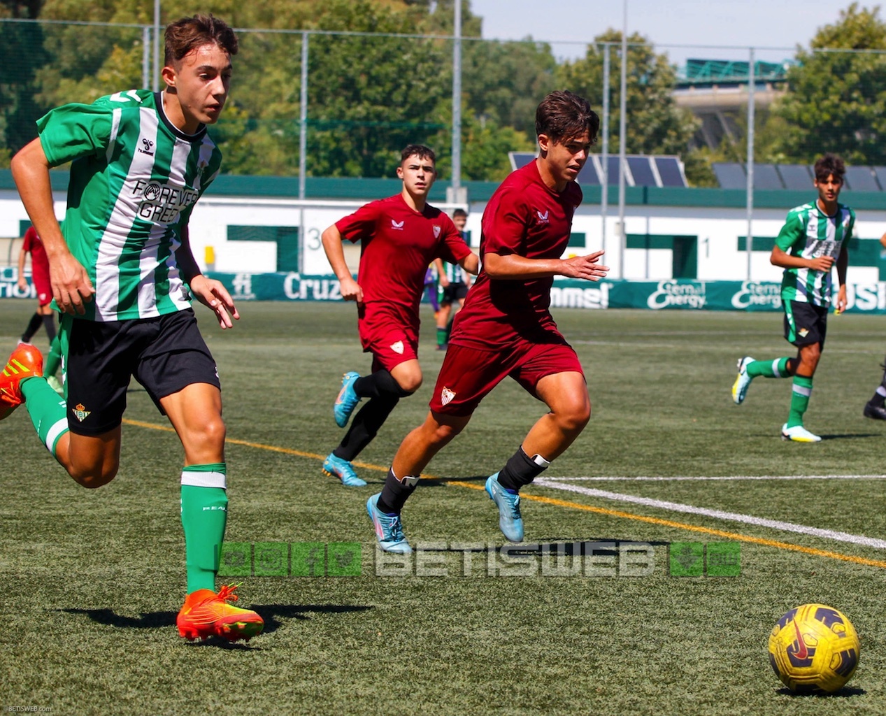 Galería De Fotos Del Betis Vs Sevilla – Cadetes B | Betisweb