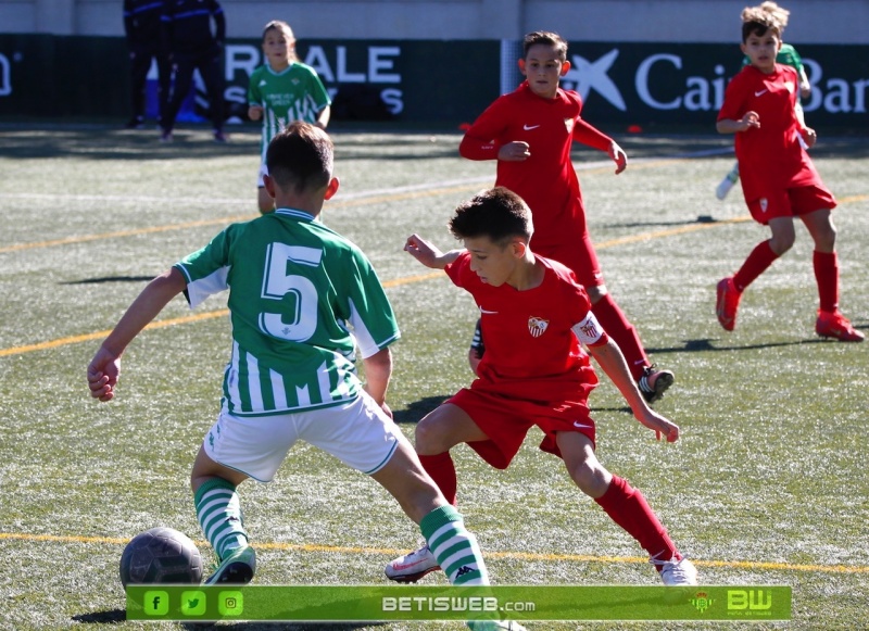 Alevin-C-Betis-Sevilla-2119