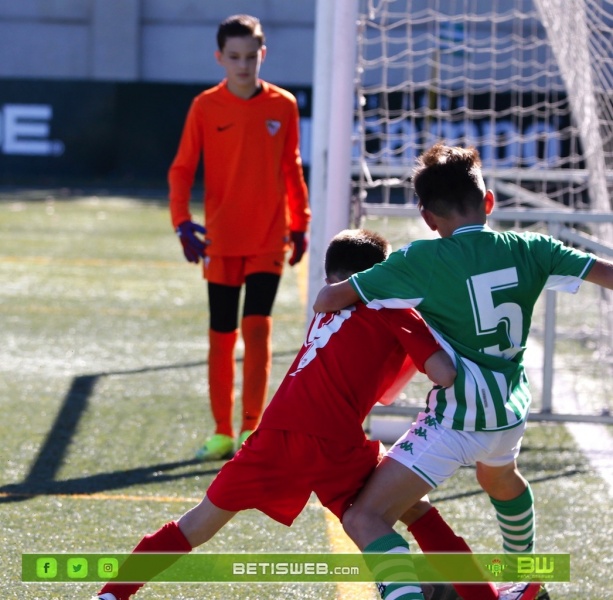 Alevin-C-Betis-Sevilla-2131