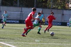 J7 Infantil B - Betis - Sevilla 135