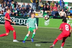 J7 Infantil B - Betis - Sevilla 31