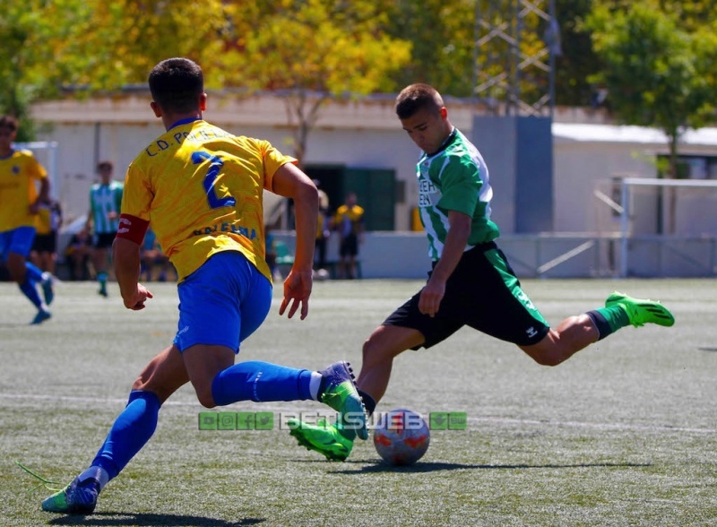 J1-Betis-DH-vs-Polillas188