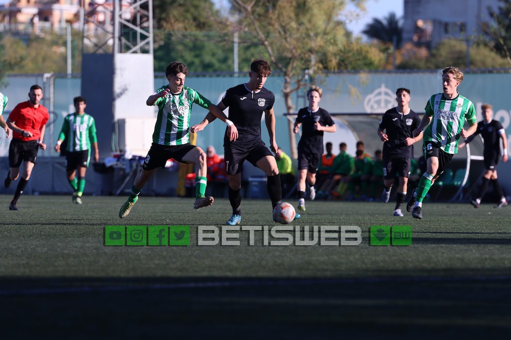 Galería de fotos Betis DH vs Calavera CF Betisweb