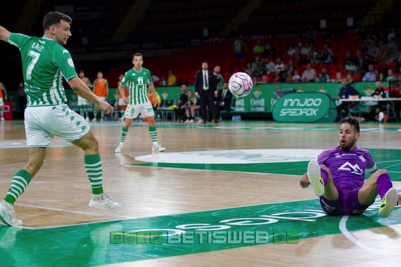 J-25-Real-Betis-FS-vs-Palma-Futsal113